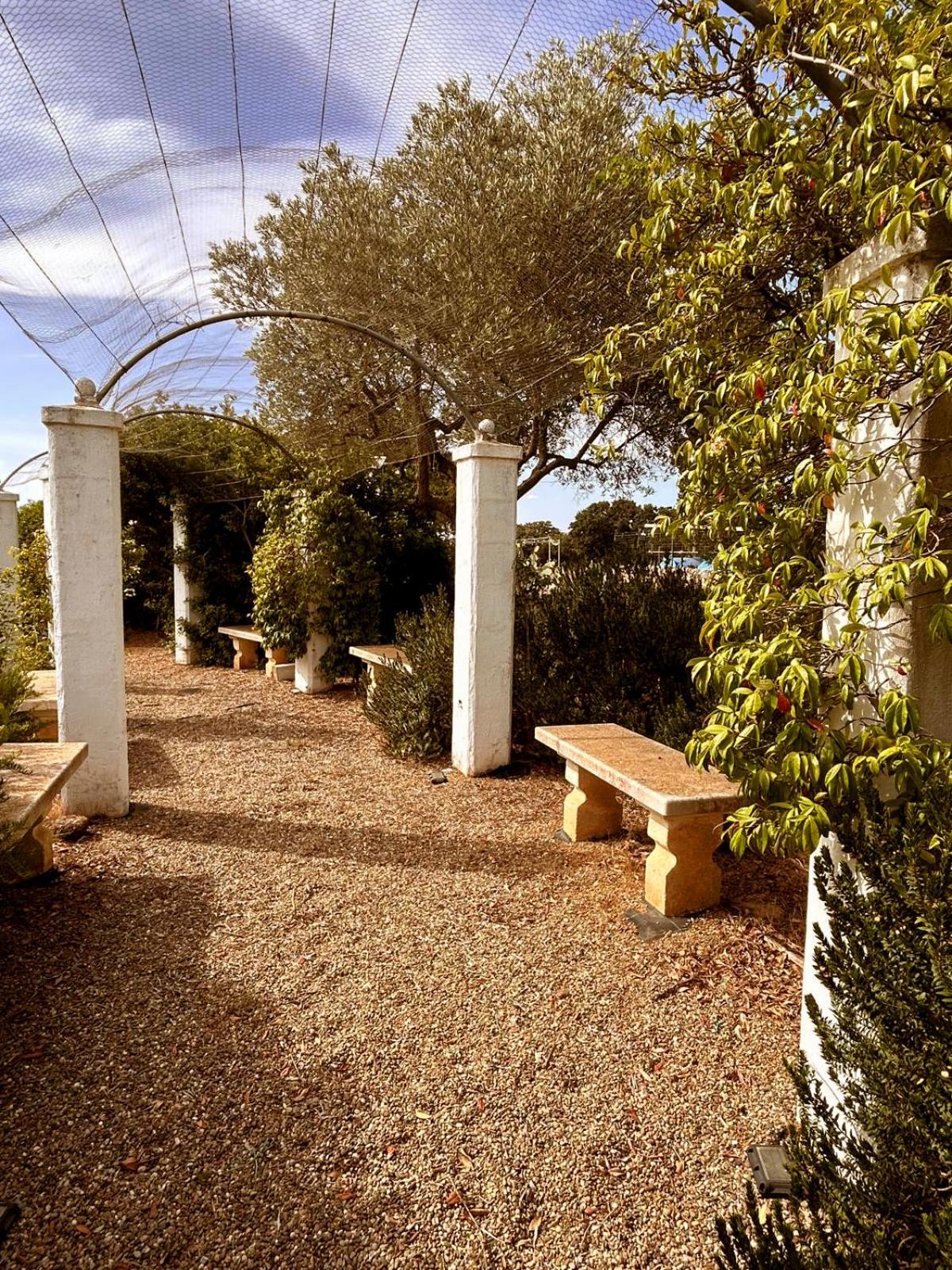 Agriturismo La Civetta Gioia Del Colle Exterior foto